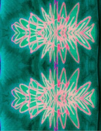 two pink and green flowers on a blue background