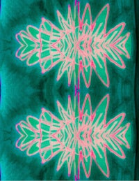 two pink and green flowers on a blue background